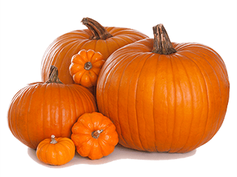 Fall Family Fun Fest - Pumpkins